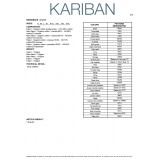 'DESIKASTEN IKASI' 'Natural' koloreko kamiseta